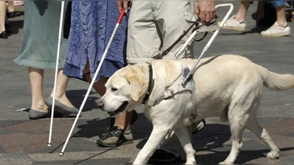 Международный день слепых