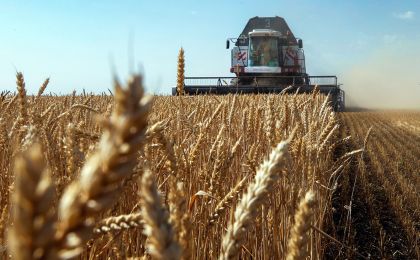 Аграрии Иркутской области собрали рекордный за четверть века урожай зерновых – Роман Габов