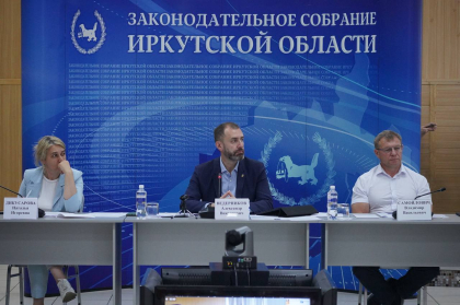 Льготники Иркутской области получат право на выплату на покупку дров 